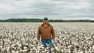 Deltapine&reg; Brand | Strong Cotton | Growing &lsquo;Round Here