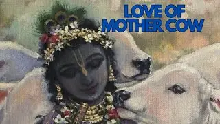 Love of Mother Cow | ISKCON Talasari Farm