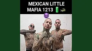Thug City (feat. Slow (Mexican Little Mafia) & Ara&ntilde;a (Mexican Little Mafia))