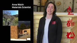 Assessing SIPs in New Zealand - Anna Walsh