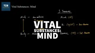 TCM Theory of Vital Substances: Mind