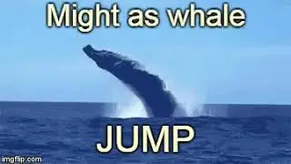 A Whale Breaching  With İts Giant Body.Dev g&ouml;vdeli Balinanin atlayışi Pls Sbsc ☝🙋💞Thankyou 