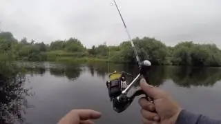 My current ultra light lure fishing rod set up