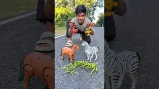 Remote Control Zebra 🦓 And Horse 🐎 Unboxing Testing 🔥