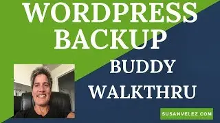 WordPress Backup Buddy Plugin - Install and Setup Automatic Backups