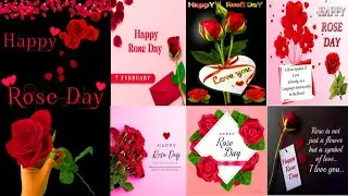 Happy Rose Day Images,Wishes,Quotes 2024 || Happy Rose Day Wallpapers,Greetings,Pics