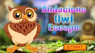 Audacious Owl Escape - Palani Games Walkthrough {Palani Games}