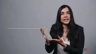 Материалы Insight: плитка bioLITH&trade;
