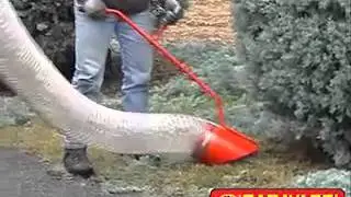 Lapų vakuuminis siurblys