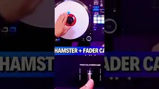 Scratch work Pt. 6 Scratch technique Hamster Scratching #dj #scratching #scratch #hamster #fyp