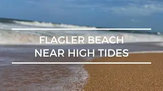Flagler Beach Locals Don't Want You to Know About Snack Jack!