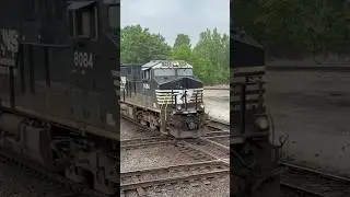 RR Diamonds & Train Horn!  What Could Be Better?!  Norfolk Southern Railroad, JawTooth shorts