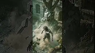 The 