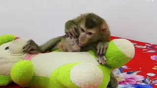 Mori Take Good Care , Kiss & Nursing Zuji To Sleep When Zuji Got-Sad
