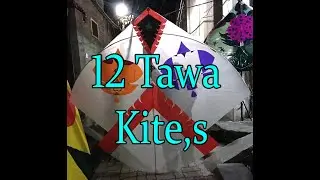 12 Tawa Kites
