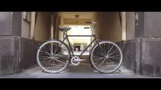 PELAGO BRISTOL