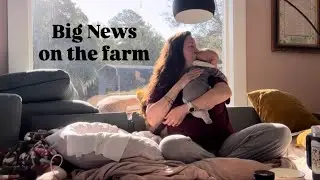 Big News On The FARM :: Its A SIMPLE LIFE :: Happy BIRDS 