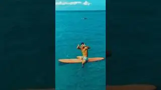 Surfer in Hawaii #shorts #viral #video #hawaii #travel #surf