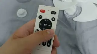 Unknown ceiling fan by bedroom (this fan remote control battery for sale)
