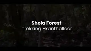 Trekking through the Haunting Beauty of Shola Forest | Promo