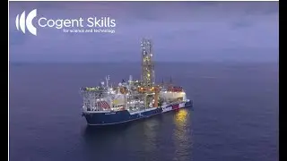 100% Virtual - Bespoke and Blended Process Safety Management Learning
