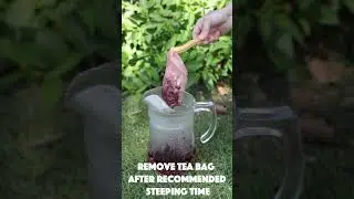 Strawberry Hibiscus | Ice Tea Brewing Guide