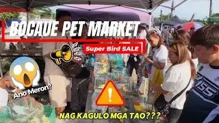 NAGKAGULO MGA TAO?! 😱 Super Bird Sale I Totoong Nangyayari sa Bocaue Pet Market! January 11, 2026