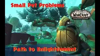 Small Pet Problems Path to Enlightenment Zereth Mortis WOW