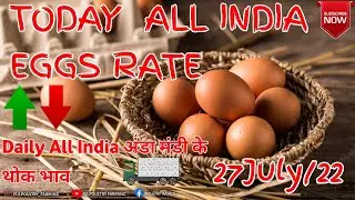 All india Egg rates 27July/22 All Broiler Egg Rates Today #mandibhav #india