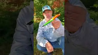 Что делает А Суик?