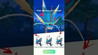 using Triple LeveL 1 MEGA GYARADOS Team in Pokemon GO.
