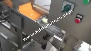 Burger Patty Nuggets Production Line HDT