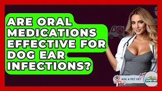 Are Oral Medications Effective For Dog Ear Infections? - Ask A Pet Vet
