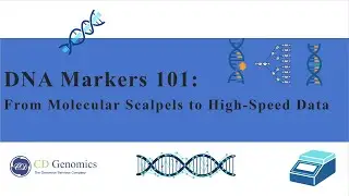 DNA Markers 101: From Molecular Scalpels to High-Speed Data