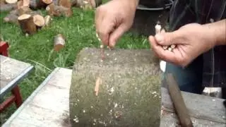 White rotten wood - How to make it