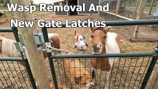 Wasp nests and New Gate Latches On The Farm