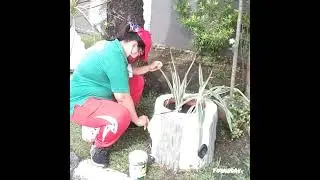 Refurbishing And Arrangements of Ornamental Landscape