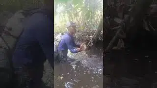 Mejo mahina ang isda sa spot na pinasok namin ngayon,,