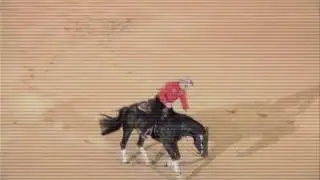 Late Night Stopper (2011 stallion by Jacs Electric Spark out of Best Stop)
