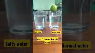 How do you make 🍋 lemon 🌊 water float?#science Experiment