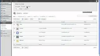 WordPress All Users