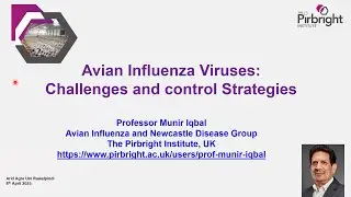 Avian Influenza Viruses: Challenges and Control Strategies