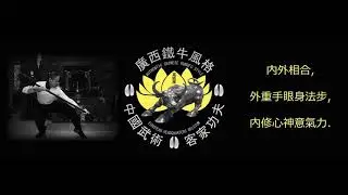 廣西鐵牛拳 - traditional Chinese kung fu - deadly fighting art