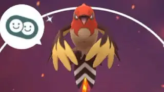 Pokemon GO- Evolving a SHINY Fletchling