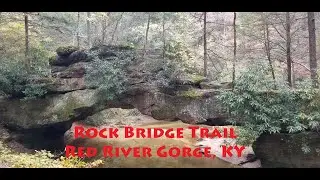 Rock Bridge Trail, Red River Gorge, KY