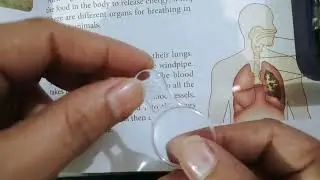 Reading a book with a magnifying glass 🔬🔭| Science experiment 🧪🥼