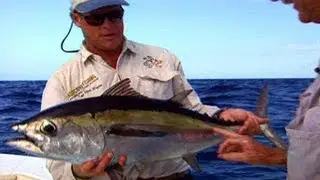 Blackfin Tuna Fishing Offshore of Key West Florida