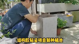 花盆不用买，3分钟教会你，用结构胶粘瓷砖自制种植池，美观实用