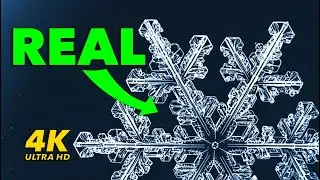 A Cheap Macro Setup Captures THESE Snowflake Images