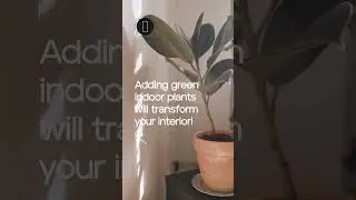 Indoor Trees